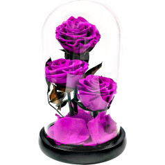 OJAYERR Konservierte Rosen echt Rosen in Glas 3 Köpfe Infinity Rose 3 Jahren lang haltbare Blumen Geschenk für Frau Mama Oma Freundin in Valentinstag Jahrestag Muttertag Geburtstag ca. 21 cm hoch