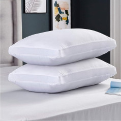 Silentnight Airmax Super Support Firm Pillows Pack of 2 - stingra atbalsta spilveni ar putuplasta serdi elpojošs dzesējošs spilvens ar atvēsinošu spilvenu, kas atvēsina, 2 spilveni - īpaši atbalstoši un hipoalerģiski - 2 eksemplāri iepakojumā