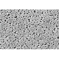 Sartorius Polyethersulfon Membranfilter, Weiß, Typ 15407, 0,45µm Poren, 47mm Durchmesser, 100 Stück