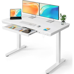 ErGear Electric Standing Desk, 48