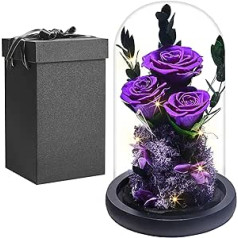 Real Eternal Rose in Glass Dome, Premium Eternal Rose Gift Box for Women, Beauty and the Beast Preserved Roses Flowers, Valentine's Day, Wedding Anniversary, Birthday Gift, Girlfriend, Mother, Wife