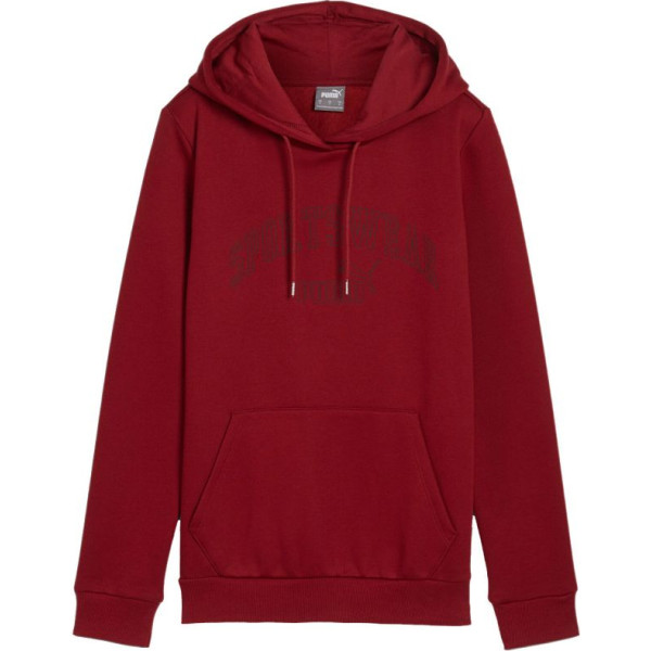 Svīteris Ess+ Logo LAB Hoodie FL W 682987 13 / L