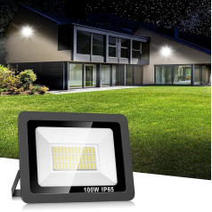 Realky 100 W āra LED prožektors, 10000 LM LED prožektors, 144 LED, āra prožektors, IP65 ūdensizturīgs, 6500 K āra prožektors dārzam, pagalmam, piebraucamajam ceļam, durvīm, garāžām, gaitenim