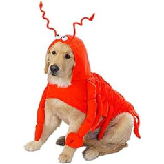 Casual Canine Lobster Paws Red Orange Dog Costume - Medium - Fits up to 16-inch Lengths