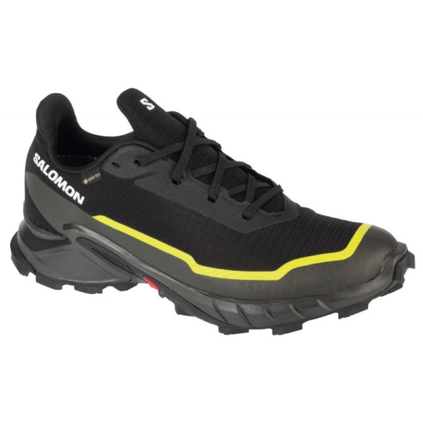 Salomon Alphacross 5 GTX M 474604 / 44 apavi