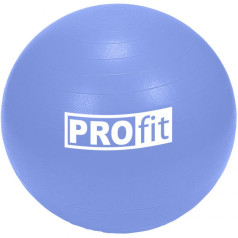 Profit vingrošanas bumba 65cm ar pumpi DK 2102 / N/A