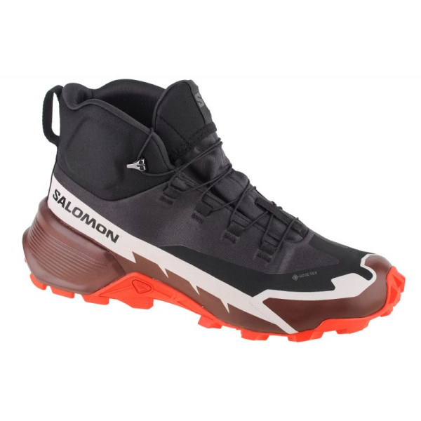 Обувь Salomon Cross Hike 2 Mid GTX M 417359/46