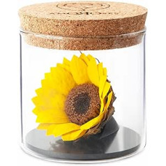 Amoroses Sunflo Stabilised Sunflower Eternal Flower Made of Glass Gift Idea