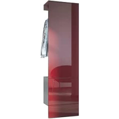 Vladon Carlton Set 5 Coat Rack, Wall Coat Rack Made of Hallway Panel with Clothes Rail and Wall Cabinet, Anthracite Matt/Bordeaux High Gloss (52 x 193 x 35 cm)