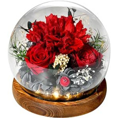 Eternal Rose in Glass with Light, Infinity Flowers Preserved Roses Carnations as Gifts for Women Mum Grandma Girlfriend for Valentine's Day Mother's Day Birthday Anniversary Thanksgiving Main