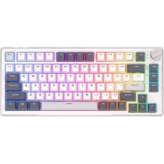 Royal Kludge RKH81 Keyboard RGB