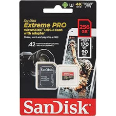 SanDisk Extreme 256GB