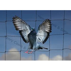 Henry Cowls 10m x 10m 50mm tinklelis sodo paukščiams juodas
