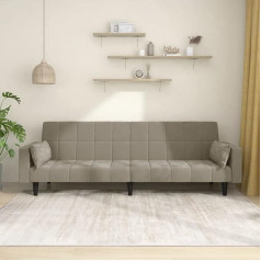 CIADAZ Sofa-lova 2vietė su 2 pagalvėlėmis šviesiai pilkas aksomas, svetainės sofa, sofos ir kušetės, poilsio sofa, svetainės sofa, sofa su miegojimo funkcija - 375847