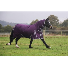 100g Fill 600D Lightweight 100g Quilted Filled Combo Full Neck Horse Rug