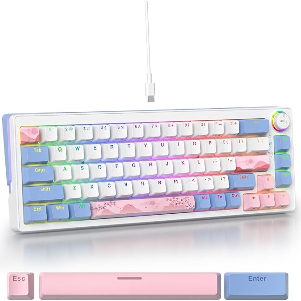 SOLIDEE 65% mehāniskā spēļu tastatūra, karsti nomaināma tastatūra ar rozā slēdzi, RGB fona apgaismojums, 68 taustiņi, PBT kompakta NKRO tastatūra ar skaļuma regulēšanu (68 rozā)