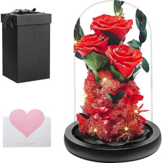 Ewige Rose im Glas mit LED-Preserved Roses Ziedi, Valentīna diena Kāzu gadadiena Jubileja Dzimšanas diena Dāvana, draudzene Māte Sieva Geschenke für Frauen