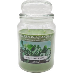 Amazzonia Candle Green Tea Lemon 530 g, dabiskā aromāta svece, sojas vasks, aromātiska svece videi, dekoratīvā baltā svece, izgatavota no stikla, smaržīgāko aromātu sojas vasks, dekoratīvā svece