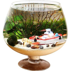 Kleiner Tank Aquarium, tragbare Fischschale Tank, Kelchförmiges Aquarium, Aquarium for den Schreibtisch, ökologische Flasche, Aquascape, kleines Aquarium, Aquarium, klares Glas, Wasser for Haustiere(M