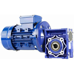 220V/400V 3KW 142RPM trīsfāžu motors