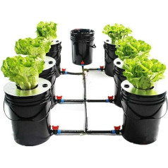 vaicRachel Hydroponics Dwc Grow System Kit 20L x 7 spaiņi iekštelpu hidroponiskās pavairošanas sistēma iekštelpu hidroponikas hidroponikas hidroponikas komplekts mājām iekštelpu hidroponiskās pavairošanas sistēma