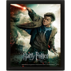 Pyramid Harry Potter 3D LENTICULAR rāmis Expelliarmus