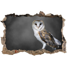 Pixxprint 3D_WD_5284_92x62 Wonderful Barn Owl Wall Breakthrough 3D Wall Sticker Vinyl Black / White 92 x 62 x 0.02 cm