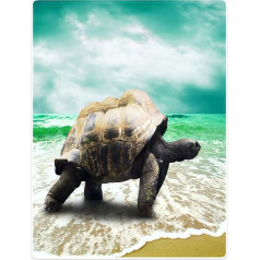 YISUMEI Sega 150 x 200 cm Mīļas segas Soft Flannel Soft Fleece Blanket Bed Throw Turtle Sea Beach