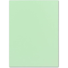 40 linu kartona iepakojums DIN A4 29,7 x 21,0 cm Mint Green 240 g/m² Māla papīrs Foto kartons Rokdarbu kartons