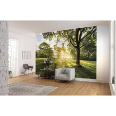 Komar Foto tapetes Golden Moment - Izmērs 368 x 254 cm (platums x augstums) - Ainava, Saullēkts, Daba, tapetes, Sienu dekorēšana, guļamistaba, viesistaba - 8-743