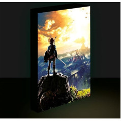 Pyramid International Legend of Zelda - Into the Wild - Canvas Lumineux 40 x 30 cm