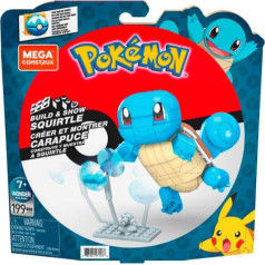 Bloki vidēja Pokemon Squirtle