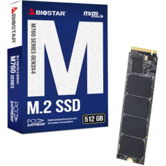 Biostar m760 512gb kietojo kūno diskas