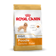 Royal Canin pūdelis 1,5 kg