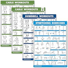 Cable Machine Workout Poster Band 1 & 2 + Dumbbell Exercises + Stretching Exercises (Laminated, 18