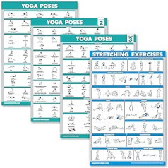 4 paka jogas plakātu 1., 2. un 3. sējums stiepšanās treniņu vingrinājumu diagramma (lamināta, 18 x 24 collas)