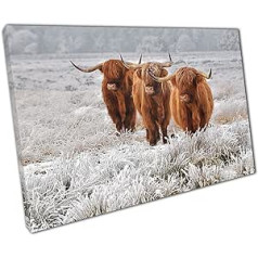 Kunstdruck auf Leinwand, Motiv: schottische Highland-Kühe, natürlicher Winter-Natur-Habitat, für Zuhause, Büro, Dekoration