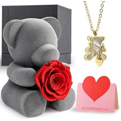 Eternal Rose Flocked Bear Gift Box - Infinity Rose Box, Real Red Rose with 18 Carat Gold-Plated Chain and Teddy Figure, Necklace Gift for Her for Valentine's Day, Mother's Day, Wedding Anniversary,