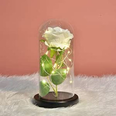 Deolven Rose in Glass, Beauty and the Beast Rose Kit Eternal Rose LED Light Enchanted Rose in Glass Dome Konservētas zīda rozes Mātes dienai Valentīna diena Kāzu gadadiena Mīlestības simbols Balts