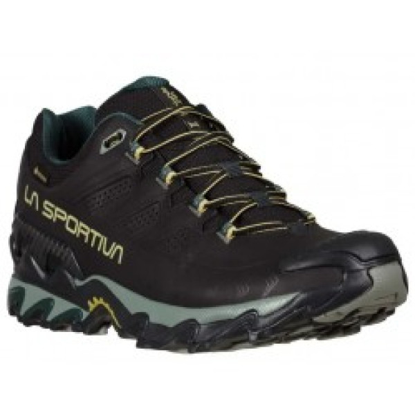 Apavi ULTRA RAPTOR II Leather GTX 44.5 Black/Cedar