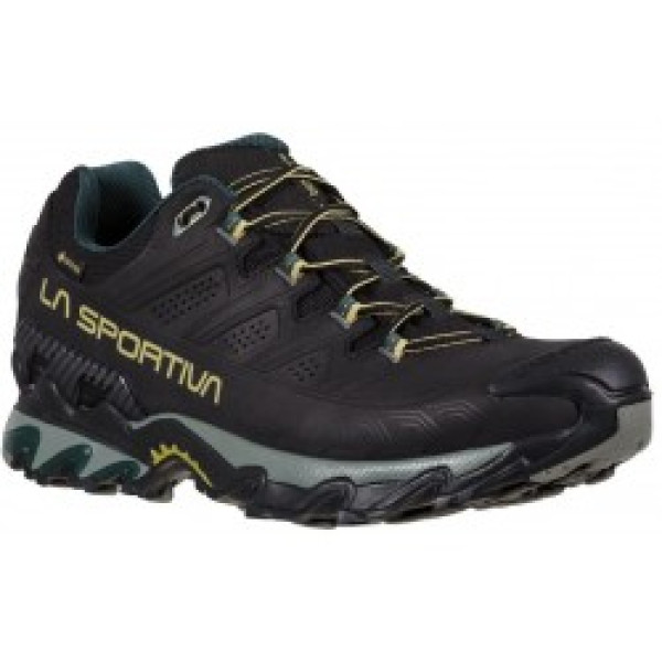 Apavi ULTRA RAPTOR II Leather Wide GTX 45 Black/Cedar