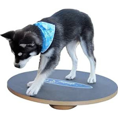 Ball Dynamics FP-WB20 FitPAWS 50 cm Wobble Board