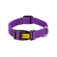 Dingo collar 2.5 x 55cm (31-49) purple