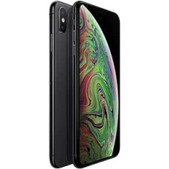 Apple iPhone XS Max (atjaunots), 256 GB, Space pelēks