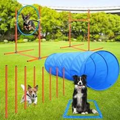 Aystkniet Agility rinkinys iš 5 šunų susideda iš 60 x 177 cm Agility tunelio, 8 slalomo lazdos, reguliuojamo aukščio Agility kliūties ir šokinėjimo lanko, 1 poilsio zonos žymėjimo, Agility šunų dresūros dideliems šunims