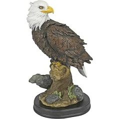 Dizains Toscano Noble Strength Bald Eagle Statuen, Polisveķi, Vollfarbig, Vidēja