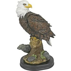 Design Toscano Noble Strength Bald Eagle Statuen, Polyresin, Vollfarbig, Medium