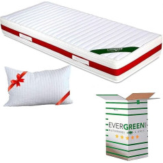 Evergreenweb Materassi & Beds Evergreenweb Ortopēdiskais atmiņas putu matracis 80 x 190 cm 22 augstums + 1 spilvens no atmiņas putām bez pārslām, auksto putu matracis ar masāžas efektu, noņemams, mazgājams pārvalks, Fashion Memory