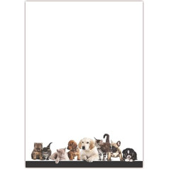 Lysco Animal 5042 Design Letter Paper DIN A4 25 Loksnes Vienpusēji apdrukāts burtu papīrs, uz kura viegli rakstīt - Animals Dog Cat Pet Shop Supplies Zoo Papīrs visiem printeriem/fotokopētājiem