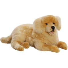 Carl Dick Golden Retriever liegend, Hund, Plüschtier, Kuscheltier ca. 60cm 2699